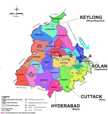 Directors of Research